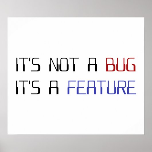 Het is geen Coding Bug Het is een Programmeringsfu Poster (Voorkant)
