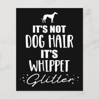Het is geen hondenhaar het is een Whippet-hondlief Flyer