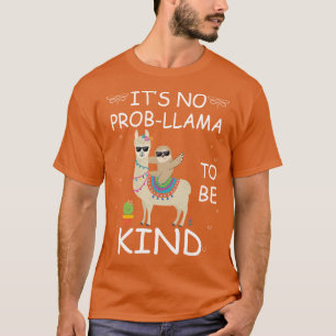 het is geen probleem om dag van eenheid te zijn t-shirt