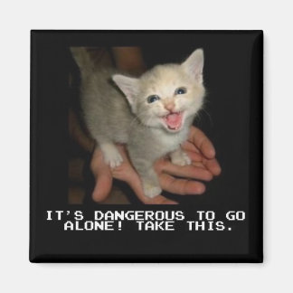 Het is gevaarlijk om alleen magneet te gaan