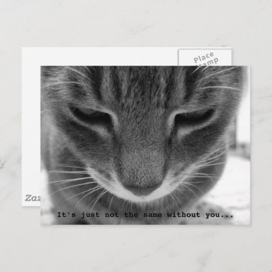 Het is gewoon niet hetzelfde zonder jou... briefkaart (Voorkant / Achterkant)
