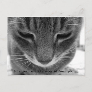 Het is gewoon niet hetzelfde zonder jou... briefkaart