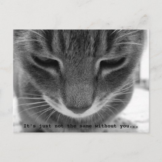 Het is gewoon niet hetzelfde zonder jou... briefkaart (Voorkant)