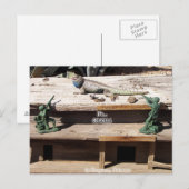 Het is Godzilla... in het Congres, Arizona Briefkaart (Voorkant / Achterkant)