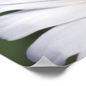 Het is goed met mijn gesaldeerde Daisy Poster (Hoek)