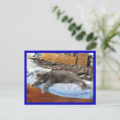 Het is goed om koning te zijn briefkaart (Staand voorkant)