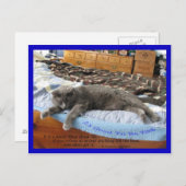 Het is goed om koning te zijn briefkaart (Voorkant / Achterkant)