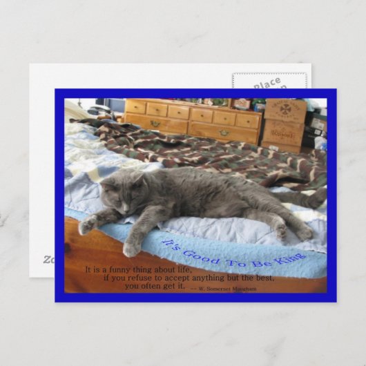 Het is goed om koning te zijn briefkaart (Voorkant / Achterkant)