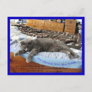 Het is goed om koning te zijn briefkaart