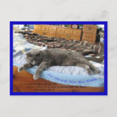 Het is goed om koning te zijn briefkaart (Voorkant)