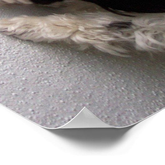 Het is goed om vrienden te hebben poster (Hoek)