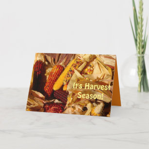 Het is Harvest Season,  herfst Scene Greeting Kaart