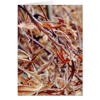 Het is Herfst, ik denk aan jou...