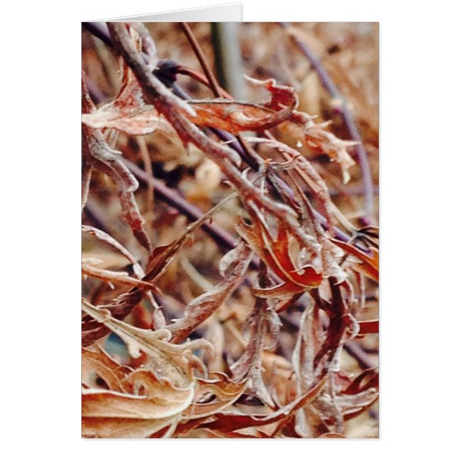 Het is Herfst, ik denk aan jou... (Voorkant)