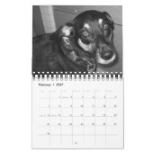 Het is het leven van een hond in 2008 kalender (Feb 2027)