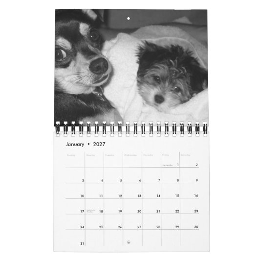 Het is het leven van een hond in 2008 kalender (Jan 2027)
