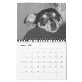Het is het leven van een hond in 2008 kalender (Mar 2027)