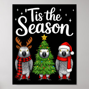 Het Is Het Seizoen Afrikaanse G Papegaai Kerstman Poster