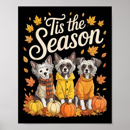 Het Is Het Seizoen Chinese Crested Hond Herfst Her Poster (Voorkant)