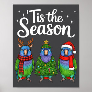 Het Is Het Seizoen Onus Papegaai Kerstman Vogel Poster