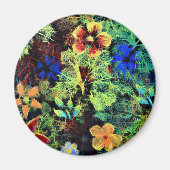 Het is in de Colors Magnet (Voorkant)