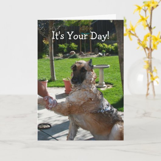 Het is je dag Duitse herderderskaart Kaart (Gele Bloem)