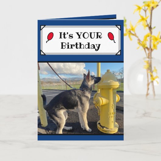 Het is je verjaardag Funny Puppy Kaart (Gele Bloem)