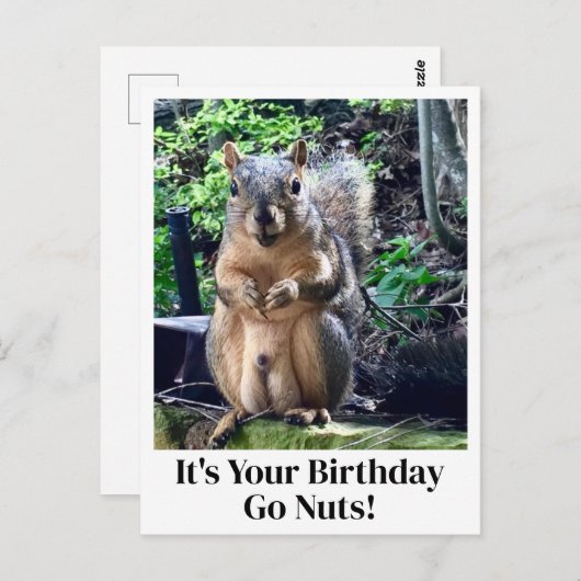 Het is je verjaardag Go Nuts Grappige Eekhoorn gra Briefkaart (Voorkant / Achterkant)