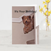 Het is jouw geboorte-opgewonden Happy Dog Pet Kaart (Gele Bloem)