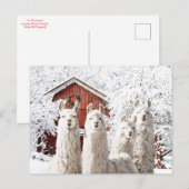 "Het is Kerstmis!" Briefkaart (Voorkant / Achterkant)