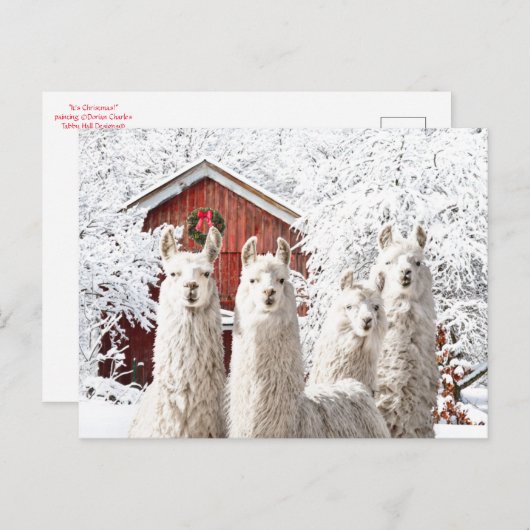 "Het is Kerstmis!" Briefkaart (Voorkant / Achterkant)