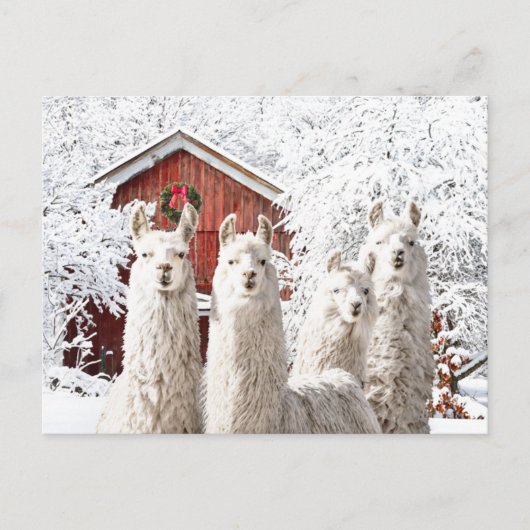 "Het is Kerstmis!" Briefkaart (Voorkant)