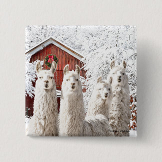 "Het is Kerstmis!" Button