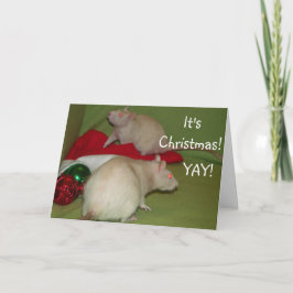 Het is Kerstmis! kaart
