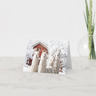 "Het is Kerstmis!" Opmerkingskaart Bedankkaart