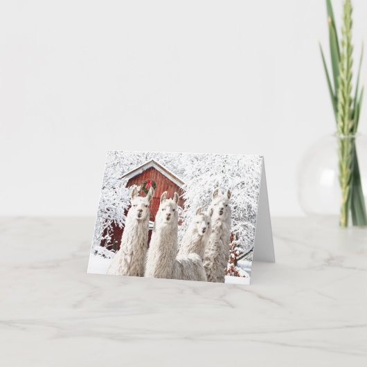 "Het is Kerstmis!" Opmerkingskaart Bedankkaart (Voorkant)