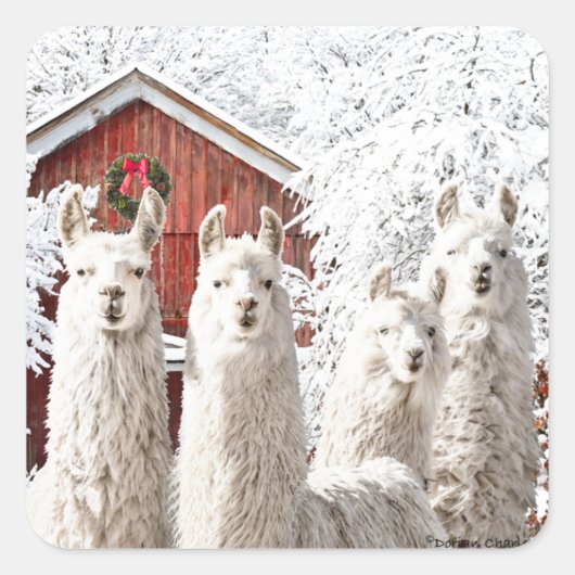 "Het is Kerstmis!" Stickers (Voorkant)