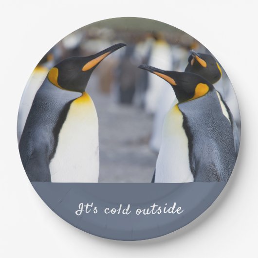 Het is koud buiten King Penguin foto met tekst Papieren Bordje (Voorkant)
