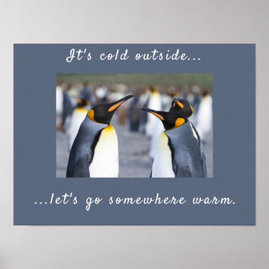 Het is koud buiten King Penguin foto met tekst Poster (Voorkant)