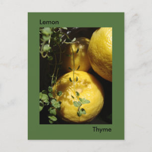 Het is Lemon Thyme. Briefkaart