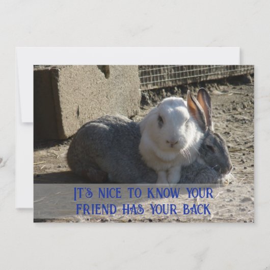 Het is leuk om te weten... feestdagenkaart (Voorkant)