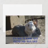 Het is leuk om te weten... feestdagenkaart (Voorkant / Achterkant)