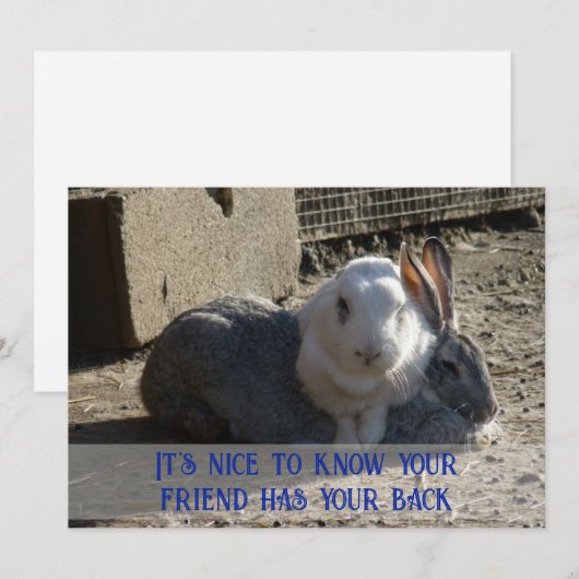 Het is leuk om te weten... feestdagenkaart (Voorkant / Achterkant)