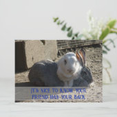 Het is leuk om te weten... feestdagenkaart (Staand voorkant)