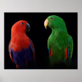 Het is Liefde! Poster (Voorkant)