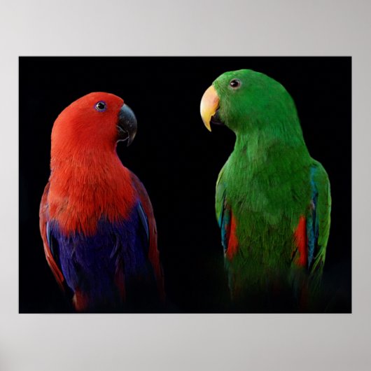 Het is Liefde! Poster (Voorkant)