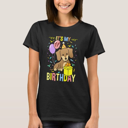 Het is mijn 17e verjaardag teckel t-shirt (Voorkant)