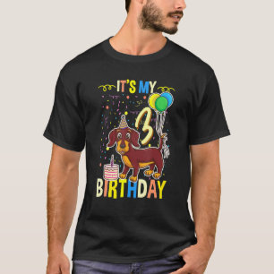 Het is mijn 3e verjaardag teckel t-shirt