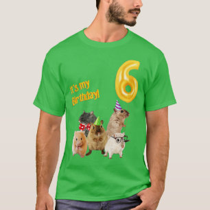 Het is mijn 6de schattige Hamster op de zesde verj T-shirt