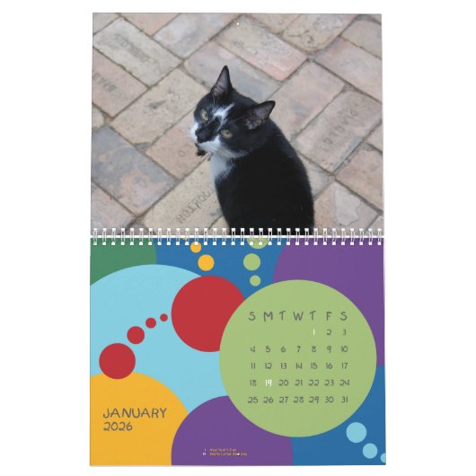 Het is mijn verjaardag, SUCKAS!!! Kalender (Jan 2026)